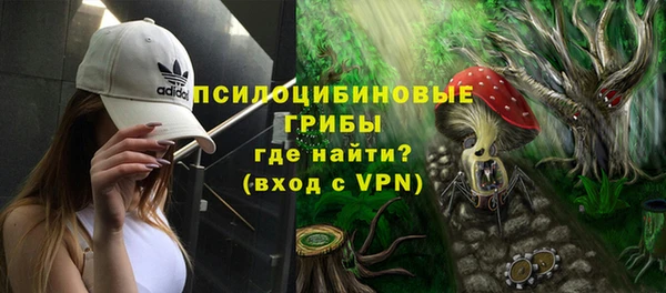 крисы Алзамай