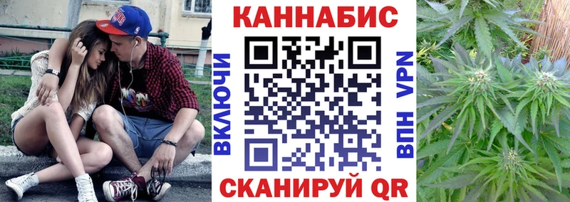 Бошки Шишки гибрид  Купить где  Ветлуга 